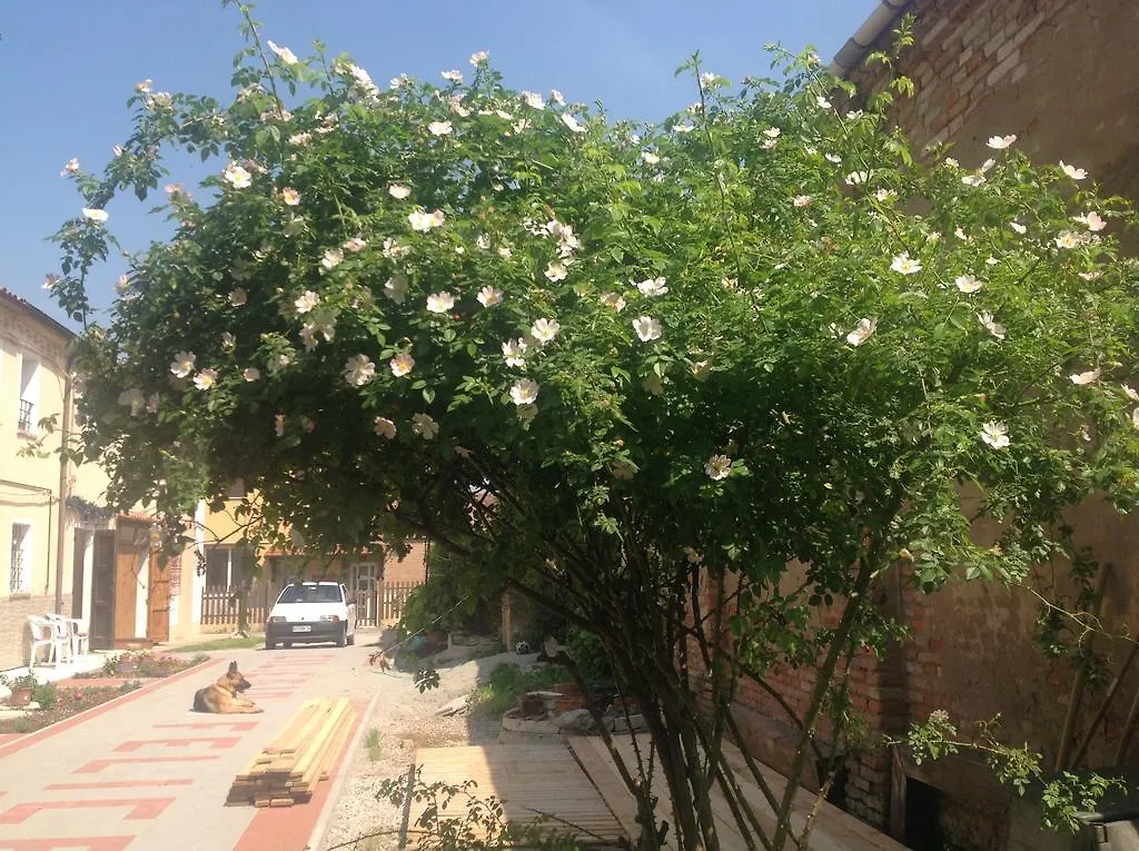 B&B Ciliegio Felice Molinella Bed & Breakfast